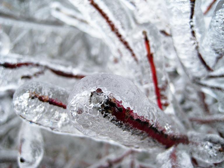 Qué es la lluvia o precipitación engelante y cuál es su impacto